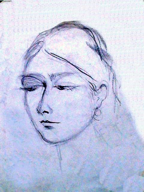 virginia devine art 203