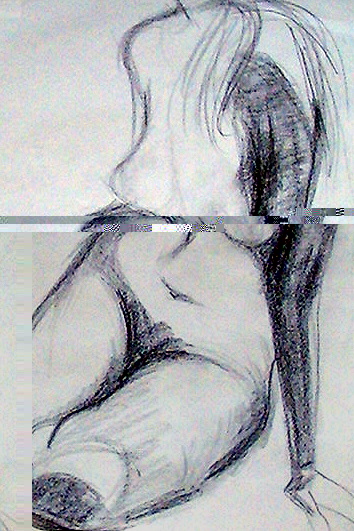 virginia devine art 211